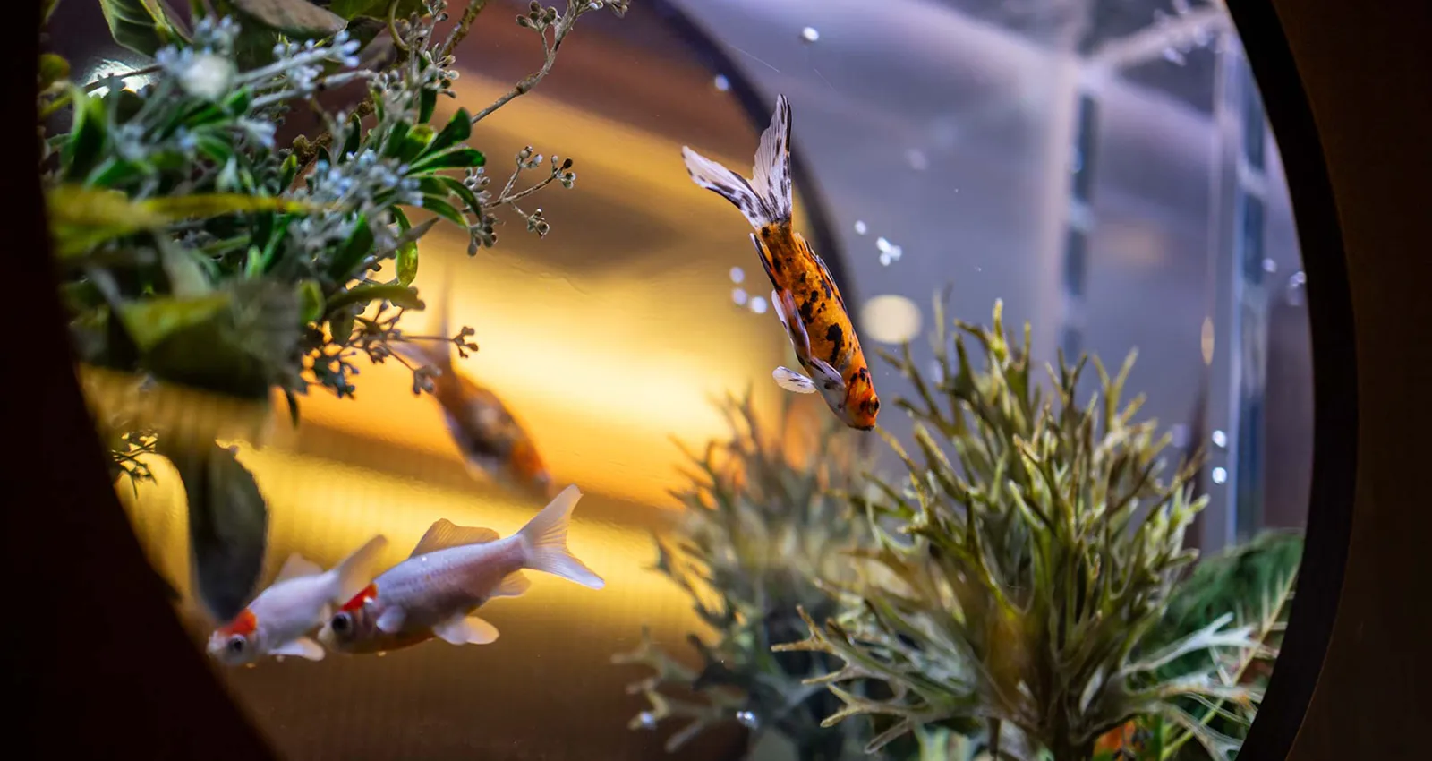 インテリアイメージ